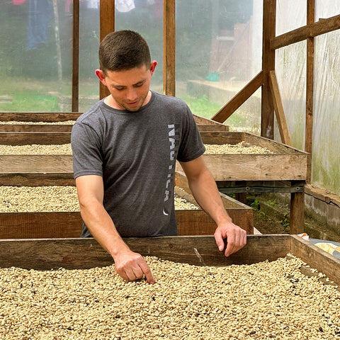 Honduras La Aguja Geisha